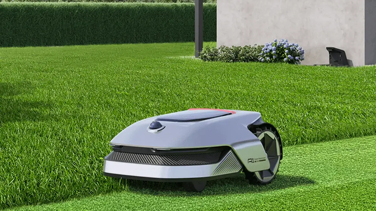 電線埋設を捨てた1999ユーロ：追覓Dreame、庭園の現実